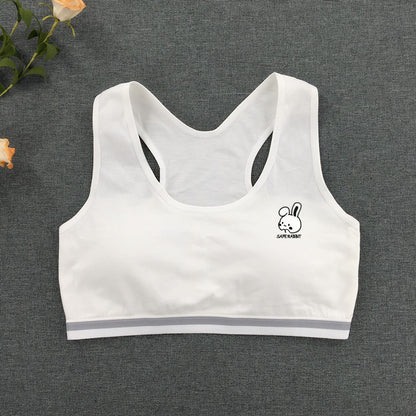 Girls' Developmental Vest Underwear Children's Chest Wrapping Junior High School Primary School Girls' Bra Small Half Clothes