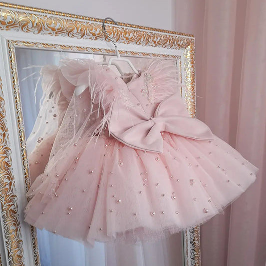 Girls Long Sleeve Princess Tulle Dress
