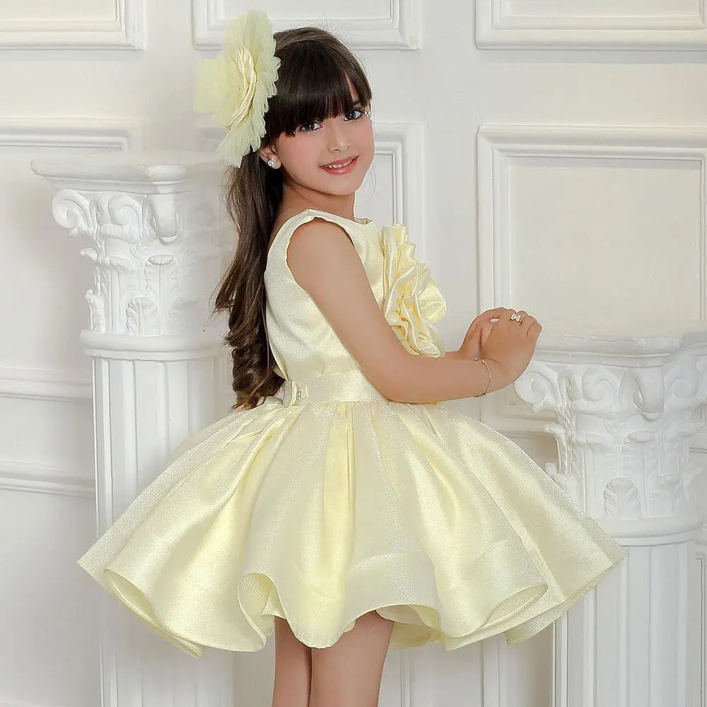 Girls Princess Party Dress with Floral Design