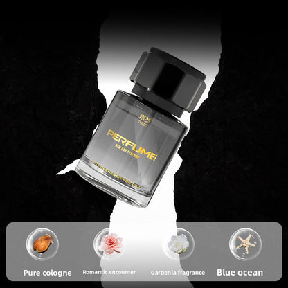 Glass Car Aromatherapy Diffuser with Long-Lasting Fragrance