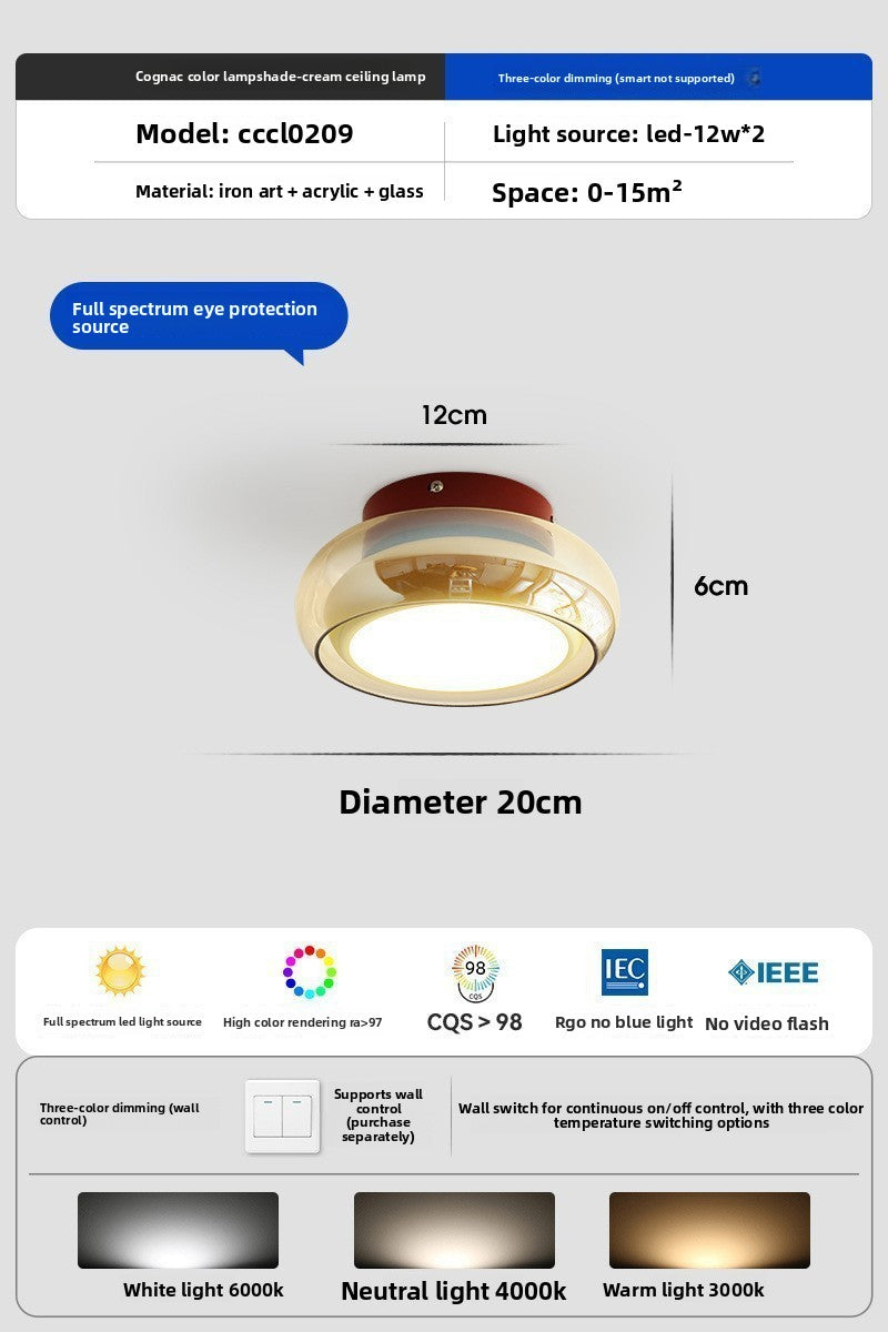 Glass Ceiling Lamp