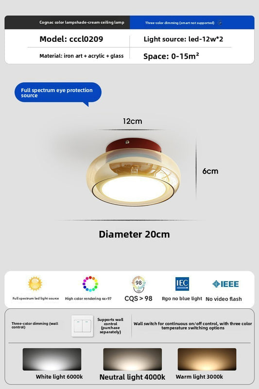 Glass Ceiling Lamp