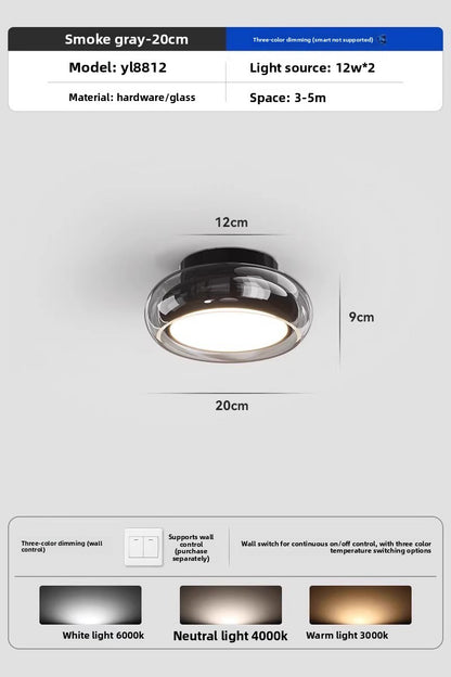 Glass Ceiling Lamp