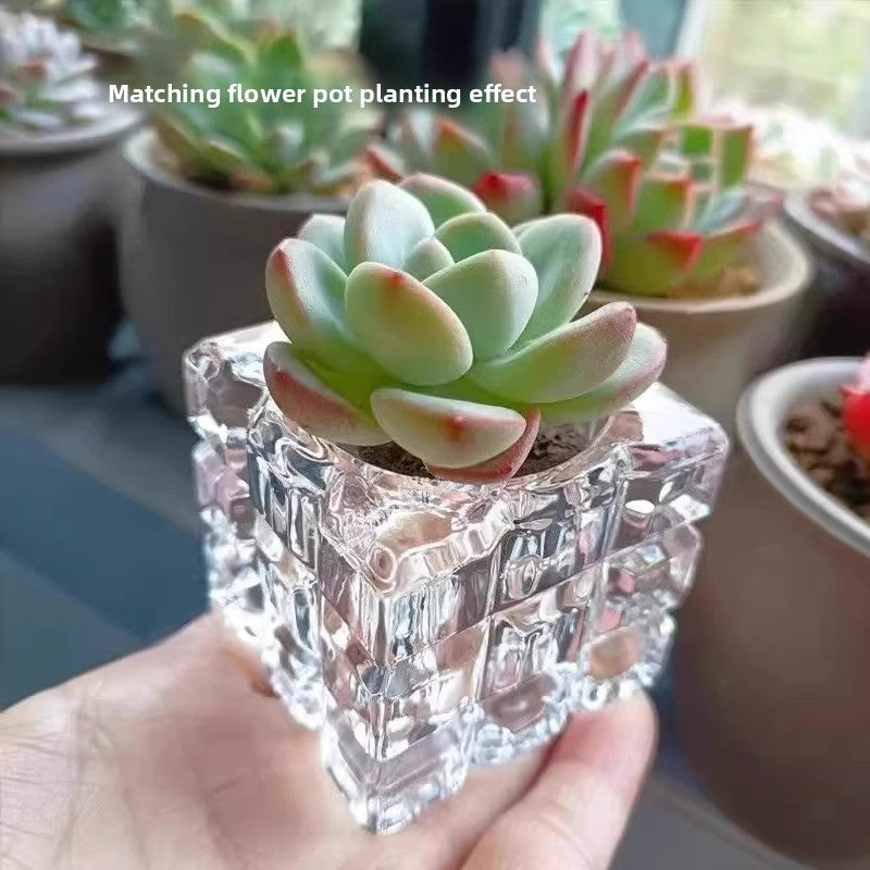 Glass Flower Pot