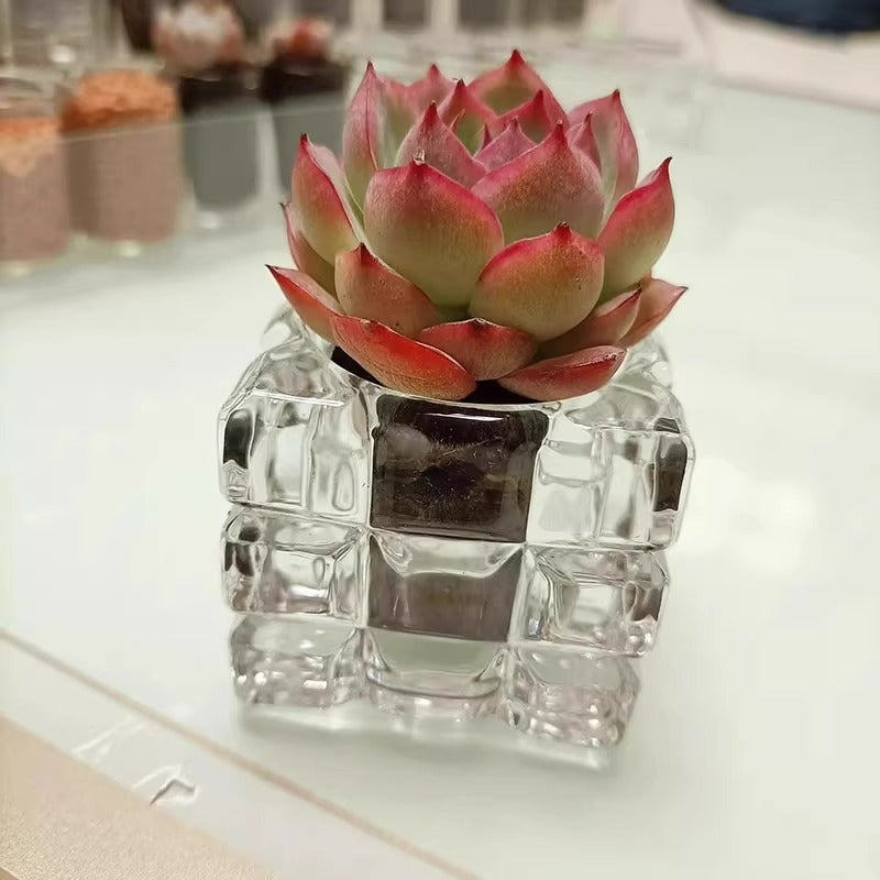 Glass Flower Pot