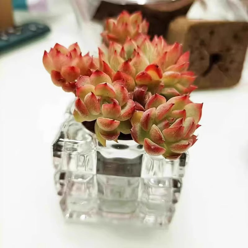 Glass Flower Pot