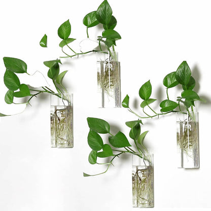 Glass Hydroponic Vase