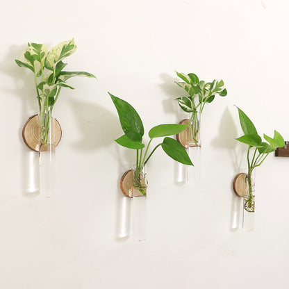 Glass Plant Vase