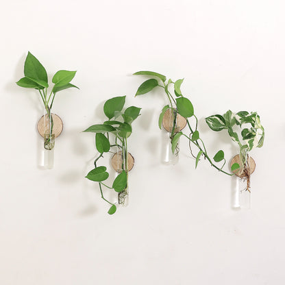 Glass Plant Vase