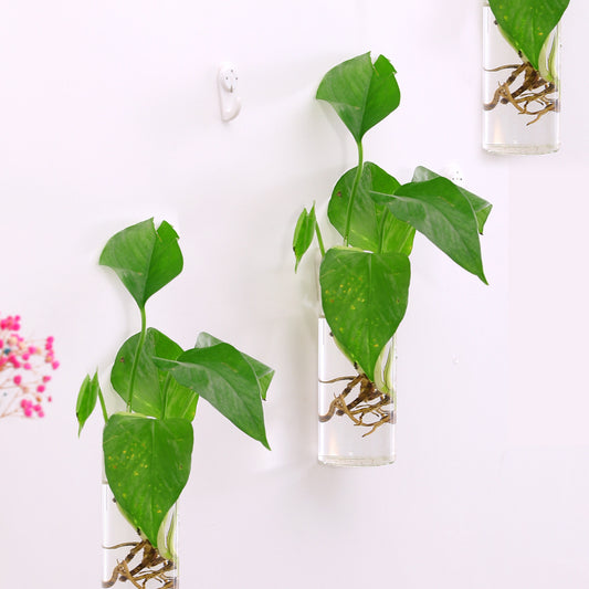 Glass Vase