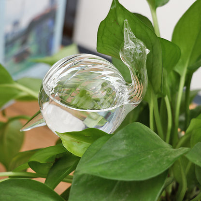 glass watering device