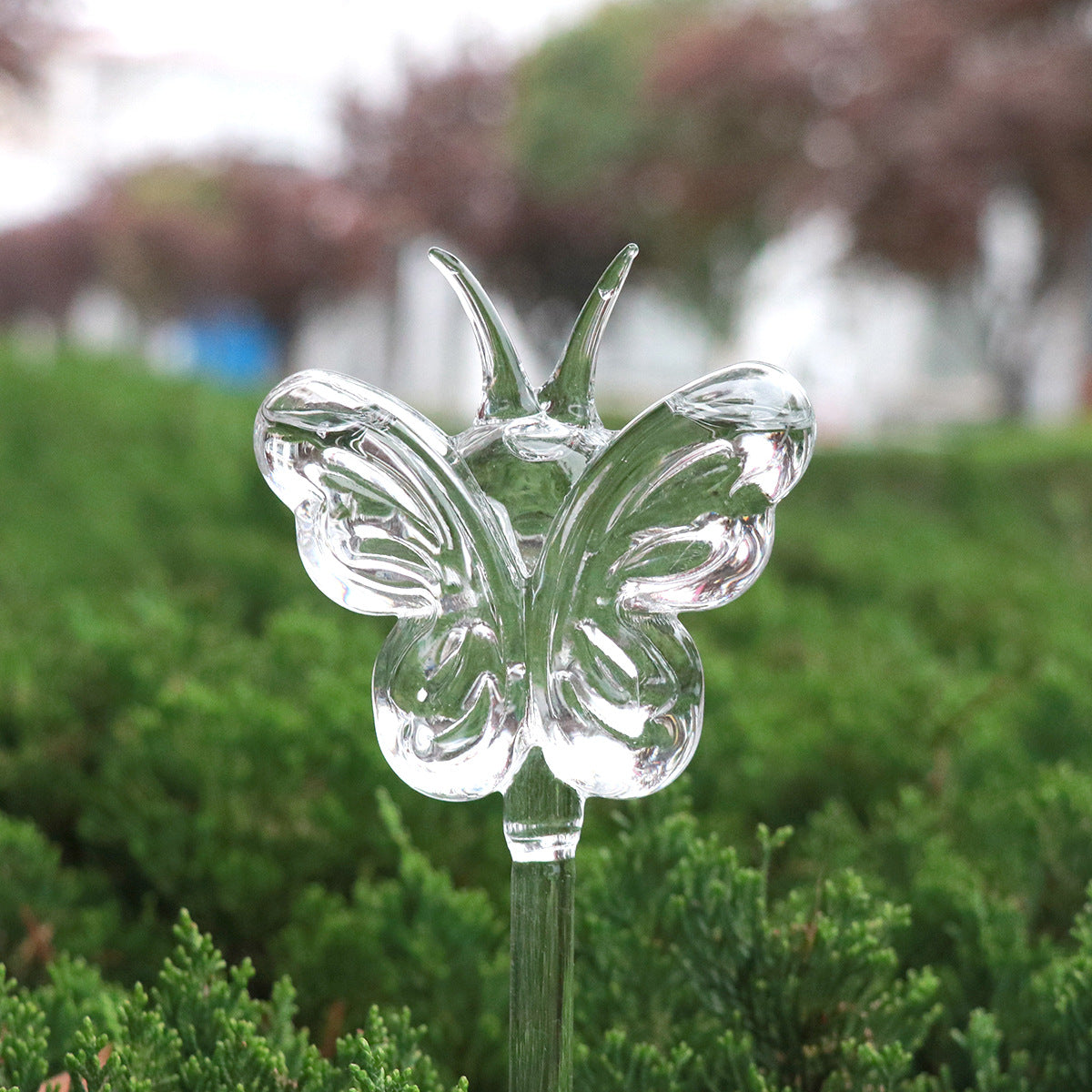 glass watering device