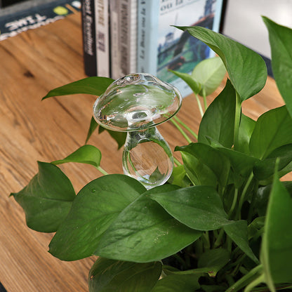 glass watering device