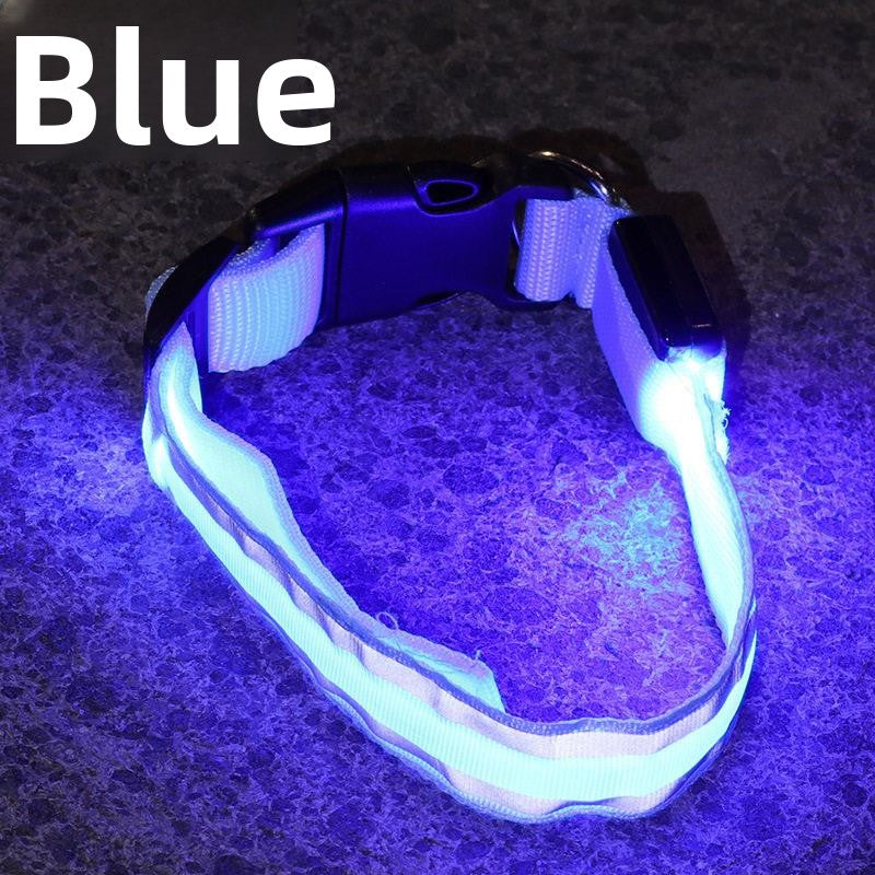 Glow-in-the-Dark Dog Collar