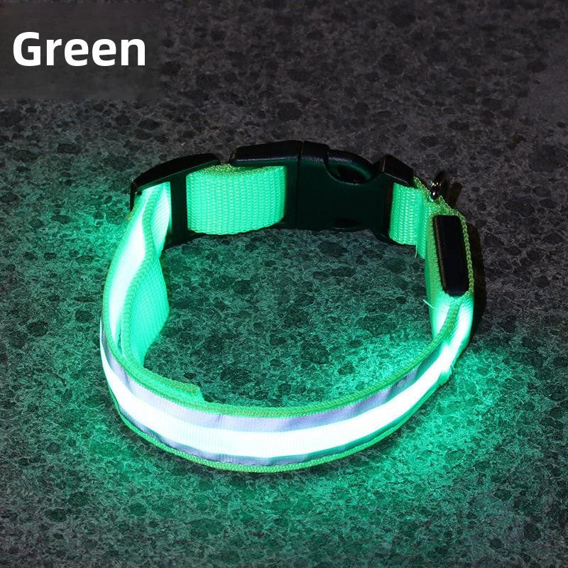 Glow-in-the-Dark Dog Collar