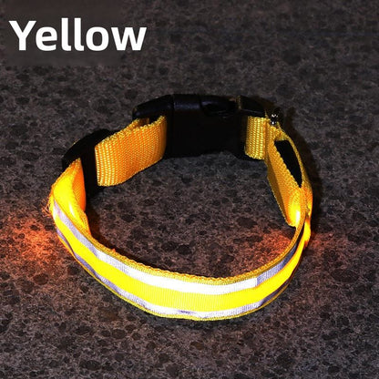 Glow-in-the-Dark Dog Collar