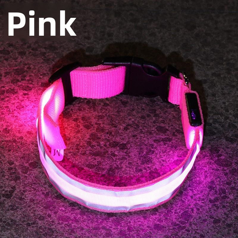 Glow-in-the-Dark Dog Collar