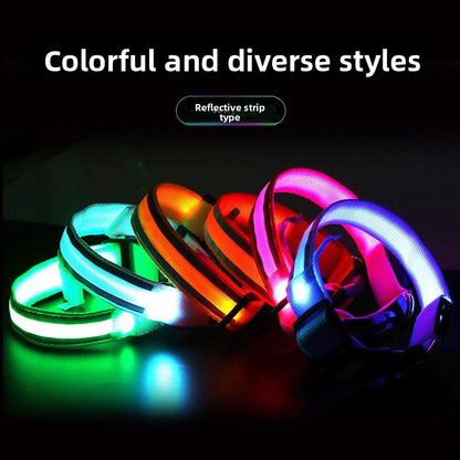Glow-in-the-Dark Dog Collar
