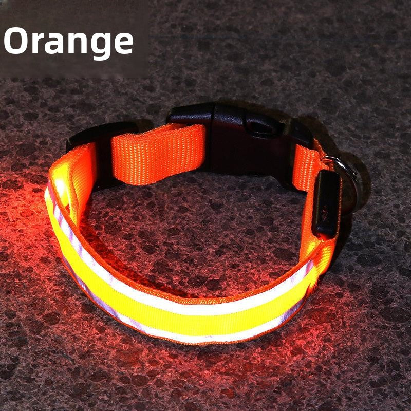 Glow-in-the-Dark Dog Collar
