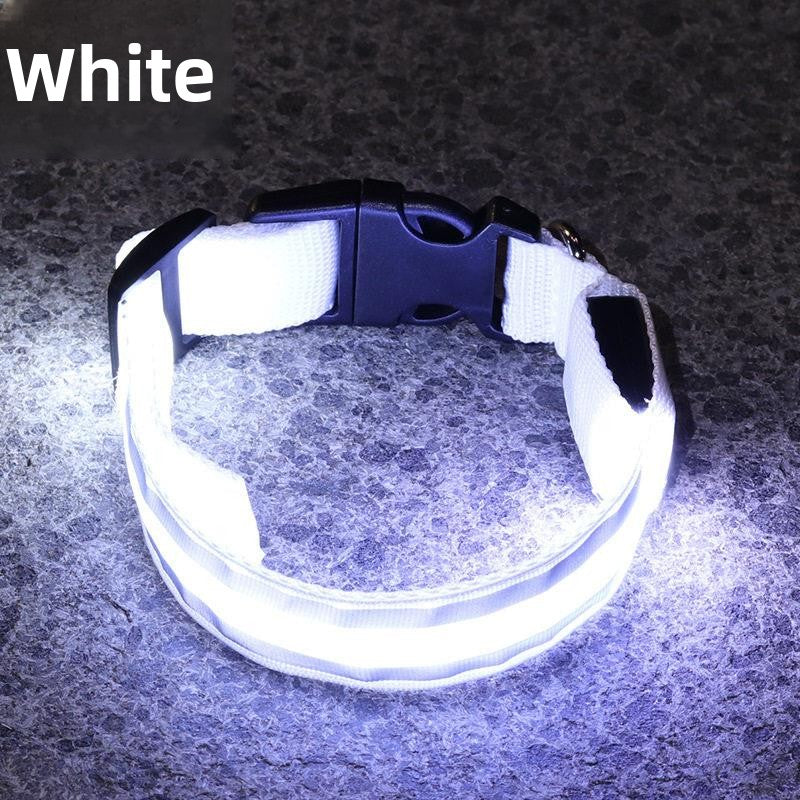 Glow-in-the-Dark Dog Collar
