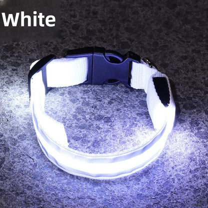 Glow-in-the-Dark Dog Collar