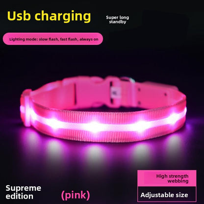 Glow-in-the-Dark Dog Collar