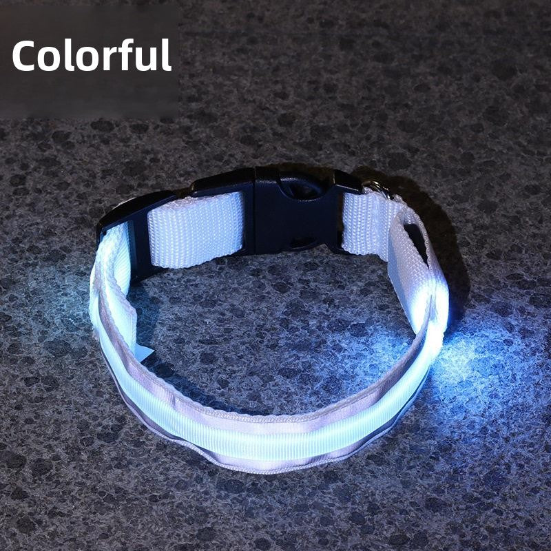 Glow-in-the-Dark Dog Collar