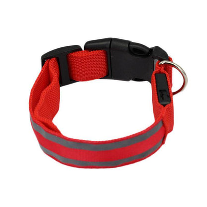 Glow-in-the-Dark Dog Collar