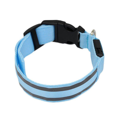 Glow-in-the-Dark Dog Collar