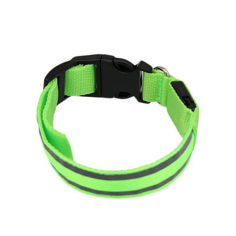Glow-in-the-Dark Dog Collar