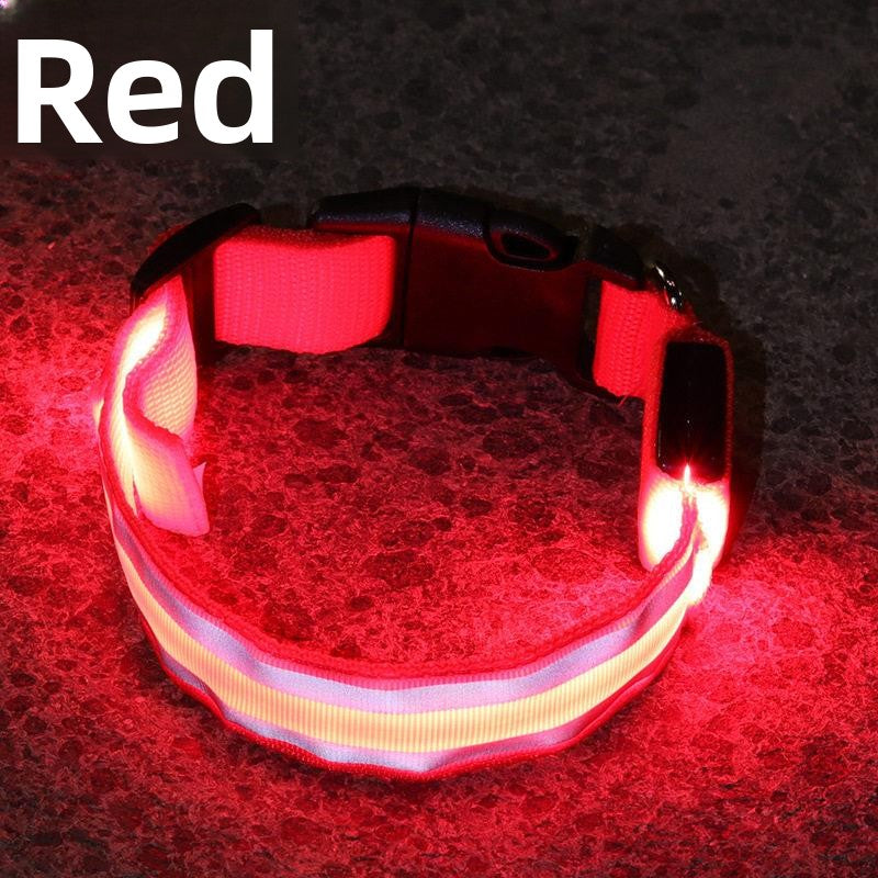 Glow-in-the-Dark Dog Collar