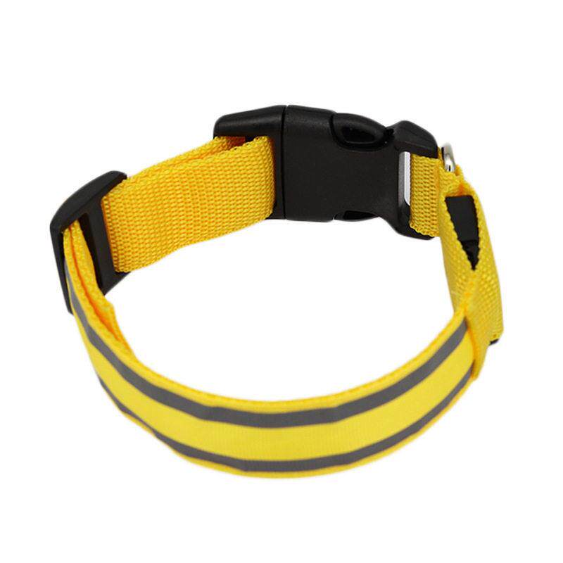 Glow-in-the-Dark Dog Collar