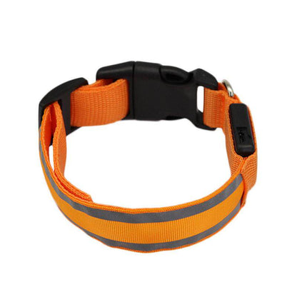 Glow-in-the-Dark Dog Collar