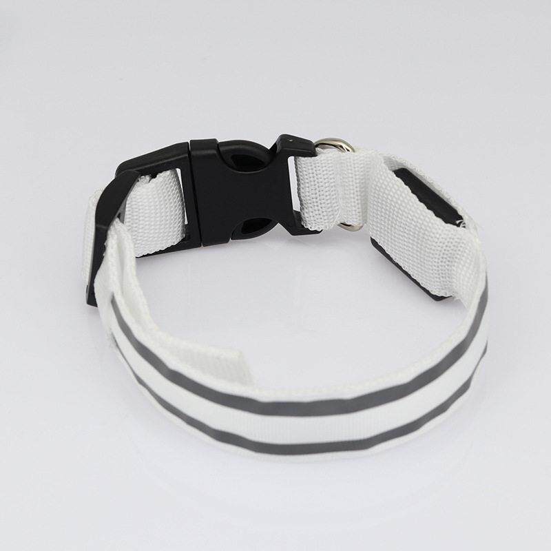 Glow-in-the-Dark Dog Collar