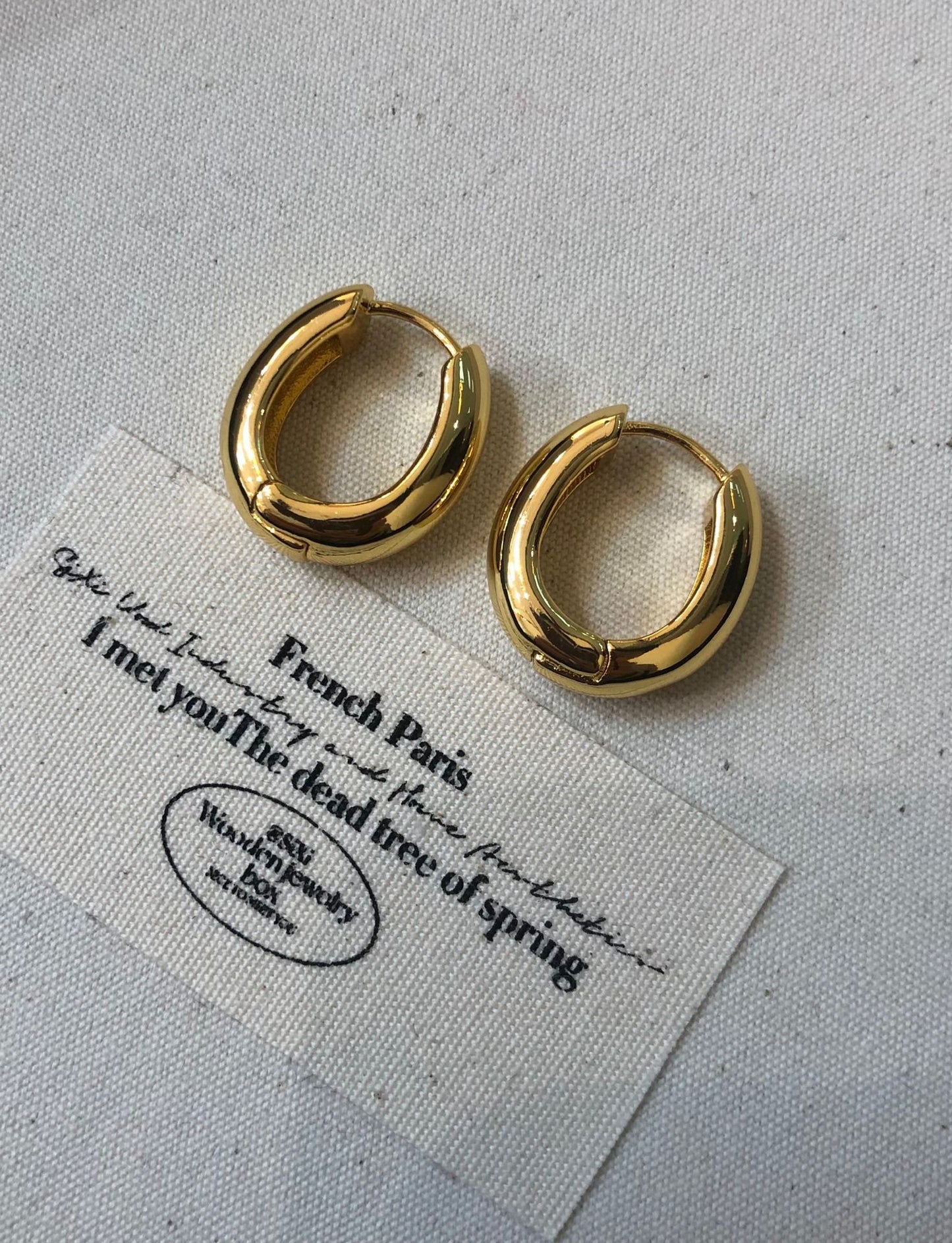 Gold Plated Brass Earrings