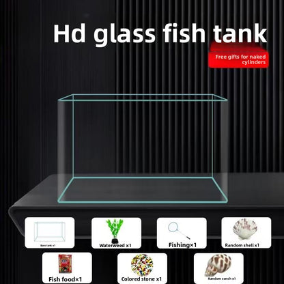 Goldfish Tank