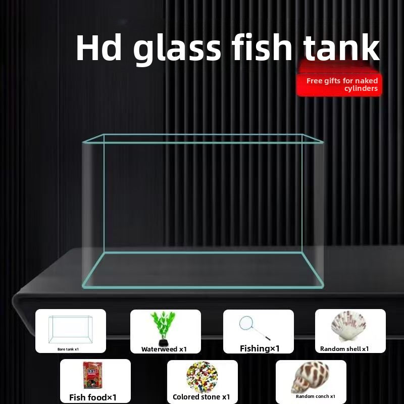 Goldfish Tank