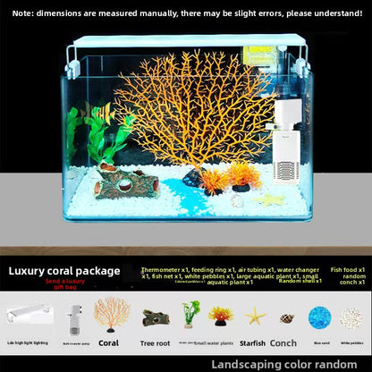 Goldfish Tank