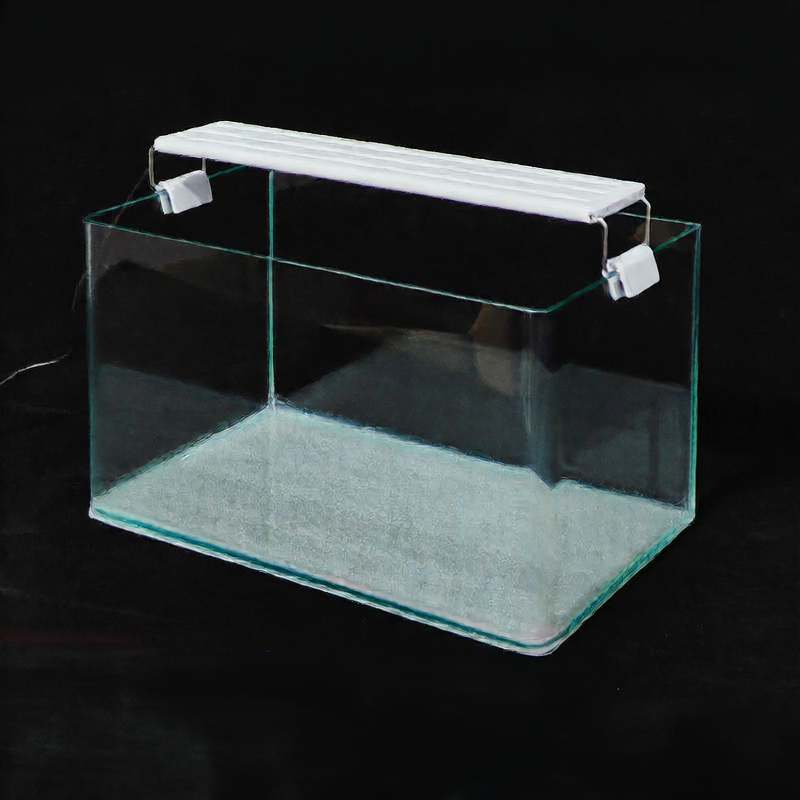 Goldfish Tank