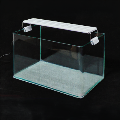 Goldfish Tank