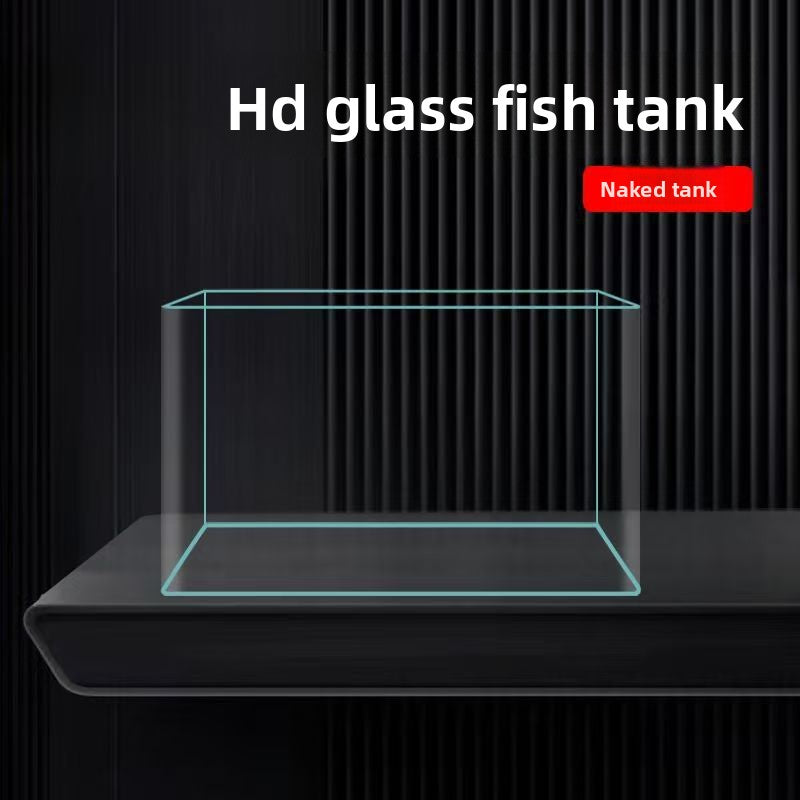 Goldfish Tank