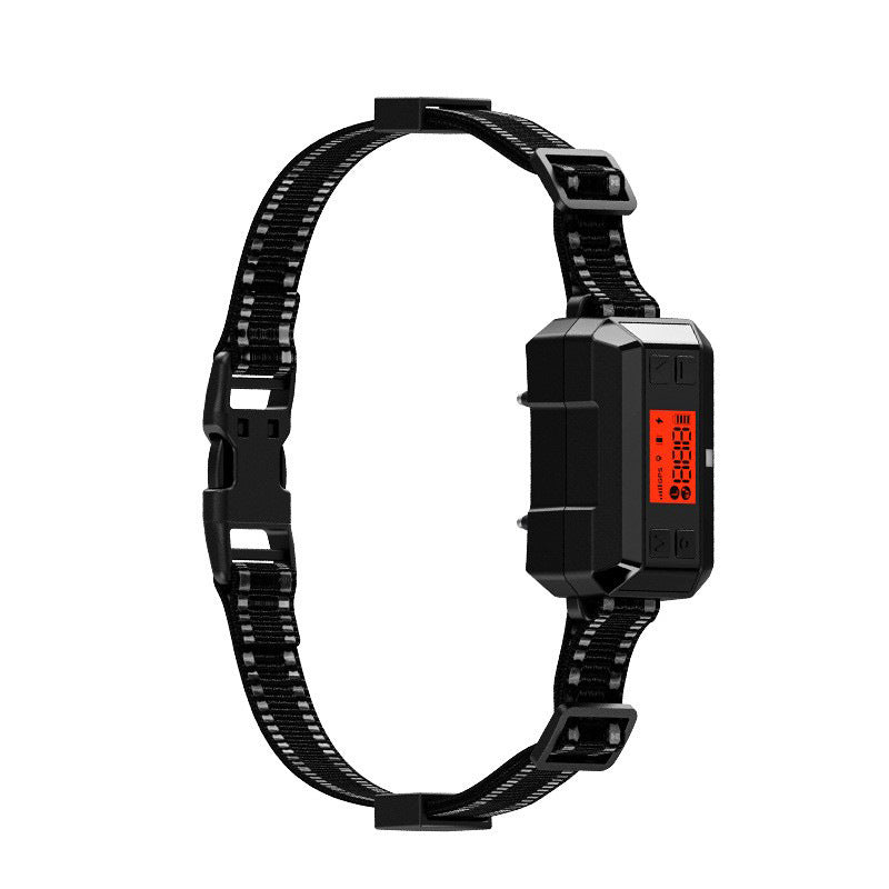 GPS dog collar