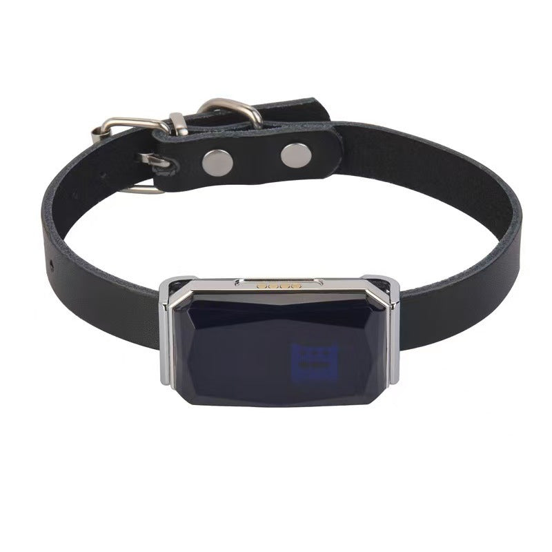 GPS Pet Car Locator Anti-Loss Tracking Device