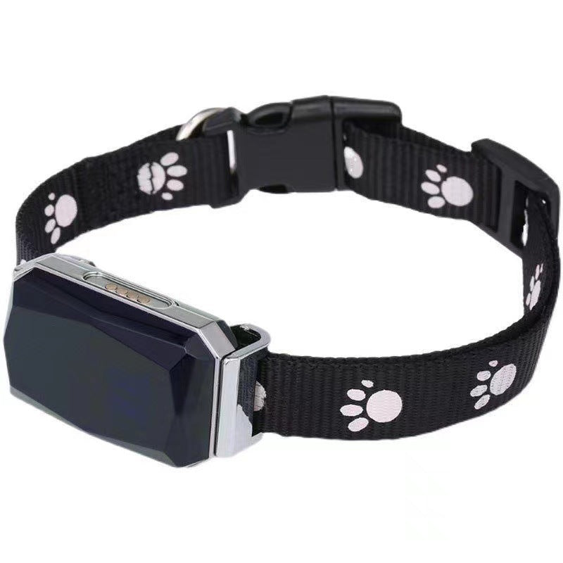 GPS Pet Tracker