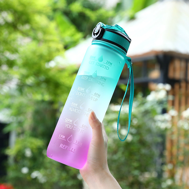 Gradient-colored water cup