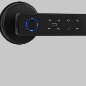 Graffiti Electronic Door Lock