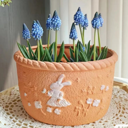 Grape Hyacinth Planting Bulbs