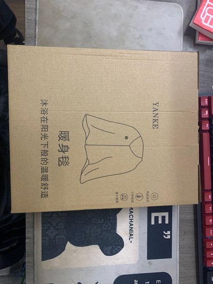 Graphene electric heating warming blanket