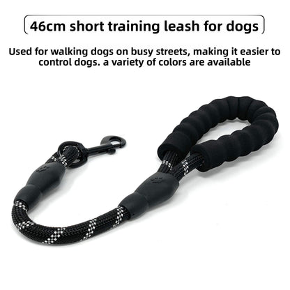 Guide dog leash