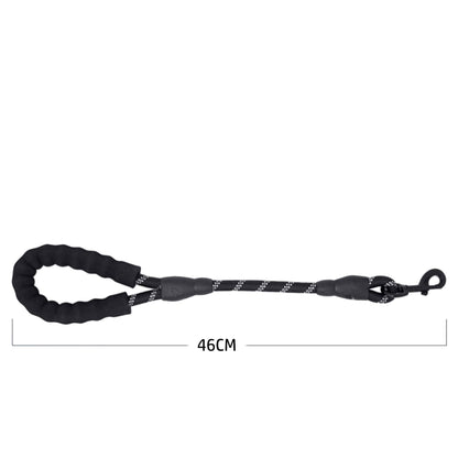 Guide dog leash